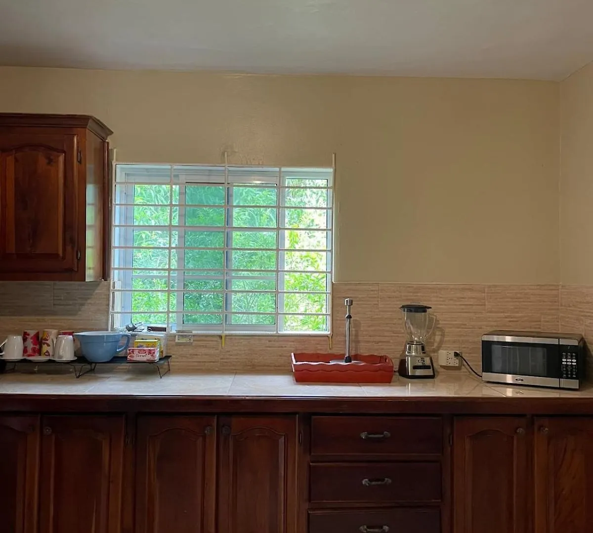 度假居 Vacation Home In Montego Bay Jamaica